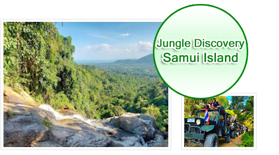 Jungle Discovery: Samui Island