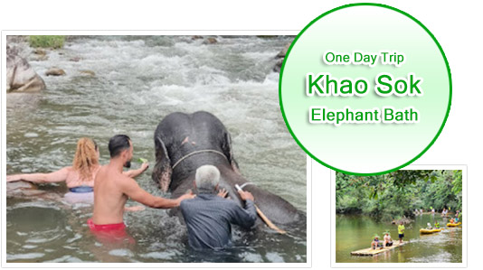 Khao Sok: Elephant Bath in nature