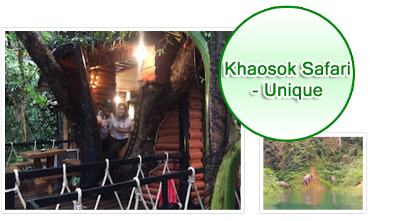 Khao Sok Safari-Unique