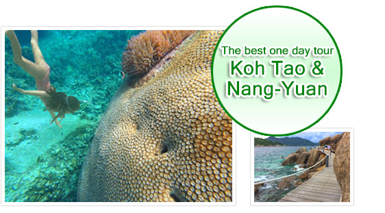 Number 1: Koh Tao and Nang-Yuan island