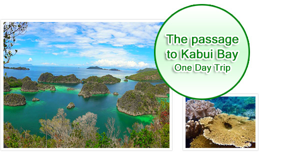 One Day Tour - The passage to Kabui Bay