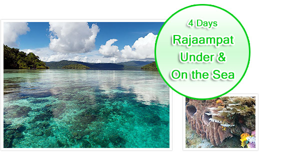 Rajaampat-Under and On the Sea