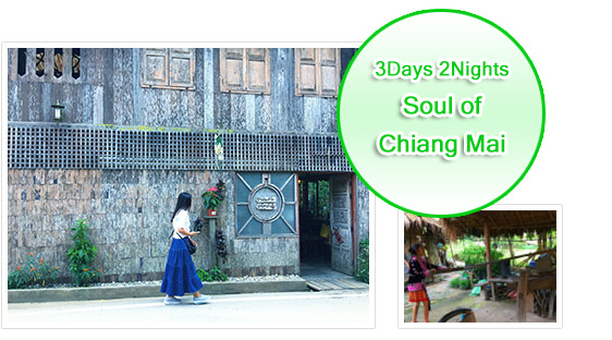 Soul of ChiangMai