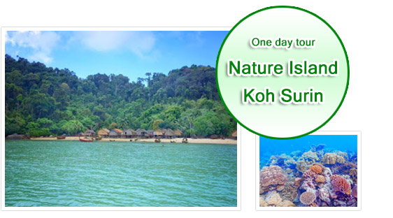 Nature Island - Koh Surin Day Trip