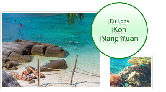 Full Day: Koh Nang Yuan.