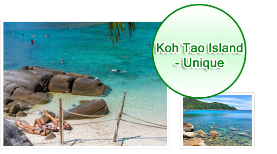 Koh Tao Island - Uinque