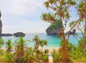 Koh Phi Phi: Difference and More