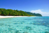 Koh Rok and Koh Haa Private Trip