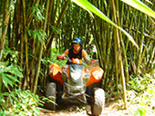 Rafting 5 Km and ATV 1 Hr and Monkey Temple