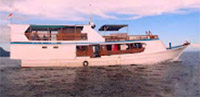 Adventure Cruise. 10 Days 9 Nights Adventure Cruise. 10 Days 9 Nights