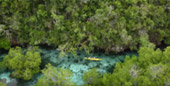 Rajaampat-Under and On the Sea