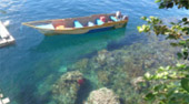 One Day Tour Snorkeling Raja Ampat