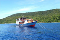 7 Days: Exploring Cruise 7 Days: Exploring Cruise