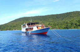 Adventure Cruise. 10 Days 9 Nights