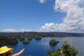 One Day Tour The passage to Kabui Bay