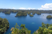 One Day Tour The passage to Kabui Bay