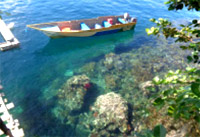 The Reef Great for Low Season The Reef Great for Low Season