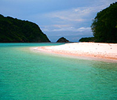 Koh Rok Koh Ha Koh Pida One Day Trip