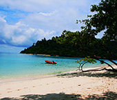 Koh Rok Koh Ha Koh Pida One Day Trip