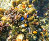 Koh Tao by JC Tour