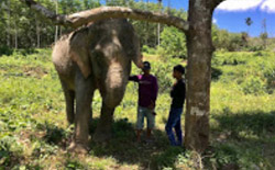 The Ethical Elephant Sanctuary