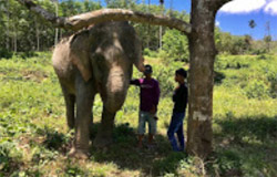 The Ethical Elephant Sanctuary