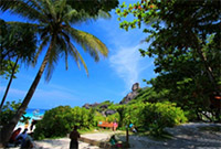 Similan Island by Speed Boat : JC Tour