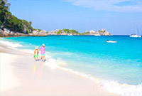 Similan Island by Speed Boat : JC Tour