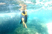 The new story snorkeling Thailand Chumphon