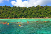 2 Days 1 Night - Nature and Snorkeling