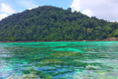 2 Days 1 Night - Nature and Snorkeling