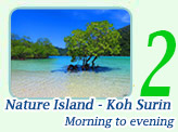 Nature Island - Koh Surin Day Trip