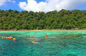 3 Days - Perfect Island