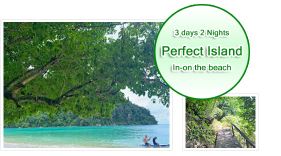 3 Days - Perfect Island