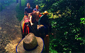 Surin Island and Sok Mountain 3 Days 2 Nights