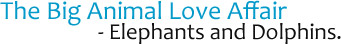 The Big Animal Love Affair Elephants and Dolphins