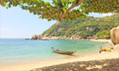 Snorkeling: Private Local Boat
