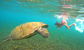 Snorkeling: Private Local Boat