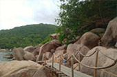 Ko Tao: View Point and Around.