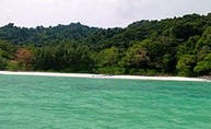 Similan and Tachai One Day Trip