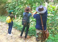 The Forest, New experience, you buy for The Forest, New experience, you buy for