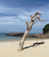 Khao Na Yak : Snorkeling & Beach