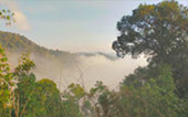 Khao Sok Safari-Unique