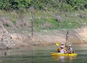 Khao Sok Safari-Unique