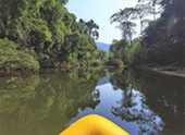 Khao Sok Safari-Unique