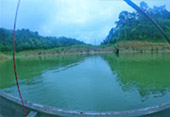 Khao Sok Safari-Unique