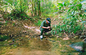 Khao Sok Safari-Unique