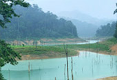 Khao Sok Safari-Unique