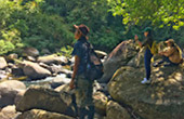 Khao Sok Safari-Unique