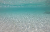 Ko Lipe - Unique
